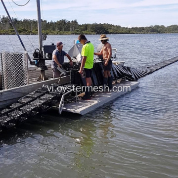 Oyster Oyster được bảo vệ bằng hình lục giác 10 mm